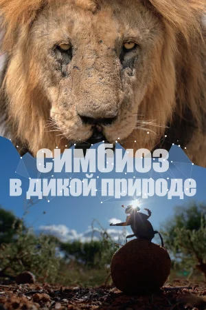 Симбиоз в дикой природе 1 сезон онлайн